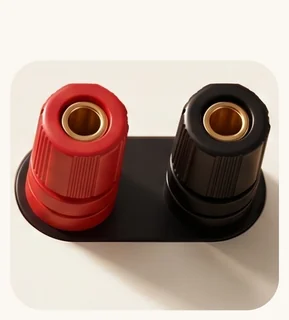 Two speaker binding posts on a black plate, one collared red and one black