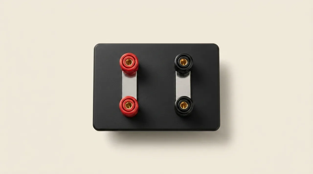 A bi-wireable loudspeaker's terminal plate: four binding posts in two columns, red on the left and black on the right, with a flat metal link bar clamped under the caps of each column joining its upper post to its lower one.